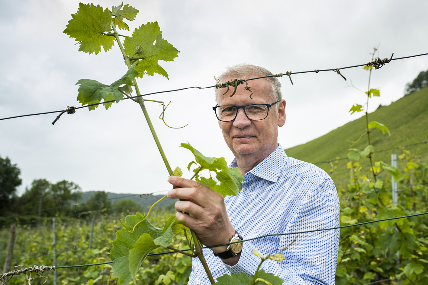 Potrait Günther Jauch
